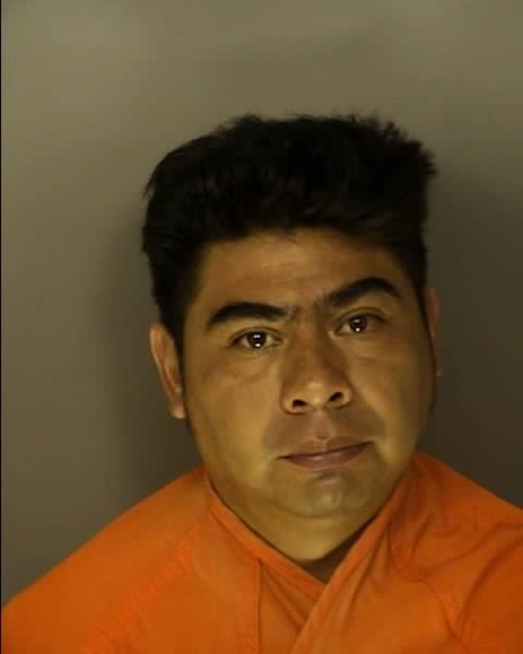 Booking photo of NICOLAS ESTRADA-HERNANDEZ
