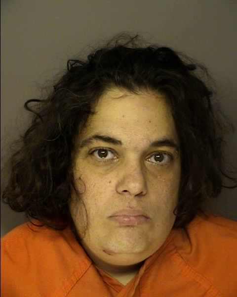 Booking photo of MELISSA HEATHER HAKOUN