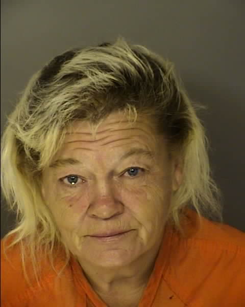 Booking photo of THERESA DAWN LOPEZ