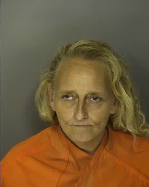 Booking photo of MISTY DAWN MILLS
