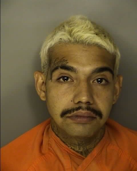 Booking photo of HELBERTH ARAUJO SANTOS