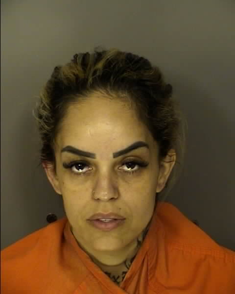 Booking photo of FABIANA RODRIGUES DA SILVA