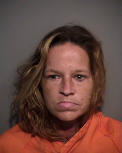 Booking photo of NICOLE RENEE HENDRIX