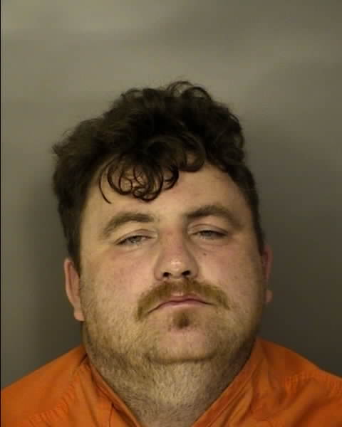 Booking photo of JOHN MICHAEL HOLIAN