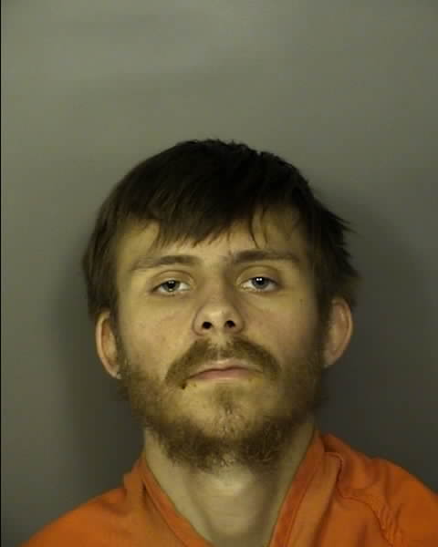 Booking photo of HALEY DONALD DAVIS