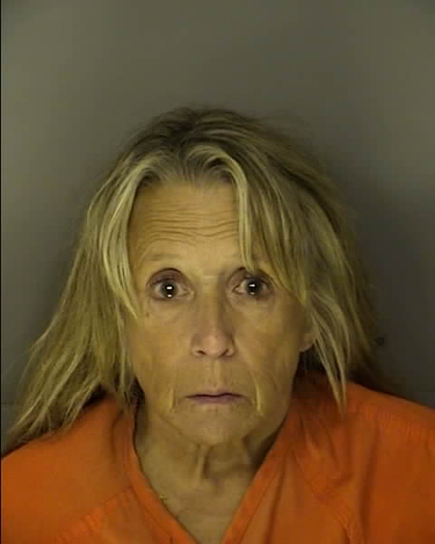 Booking photo of DARLENE LINDA HARRIS