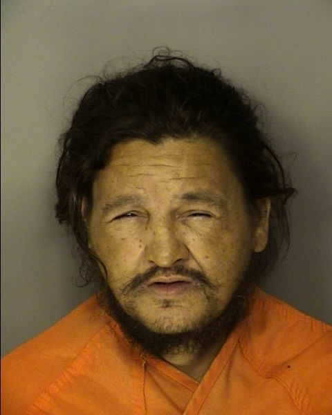 Booking photo of JAMIE LOCKLEAR