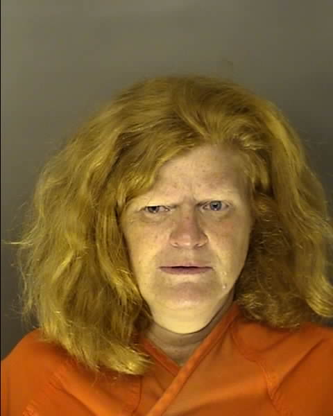 Booking photo of ANDREA LYNN HARDING