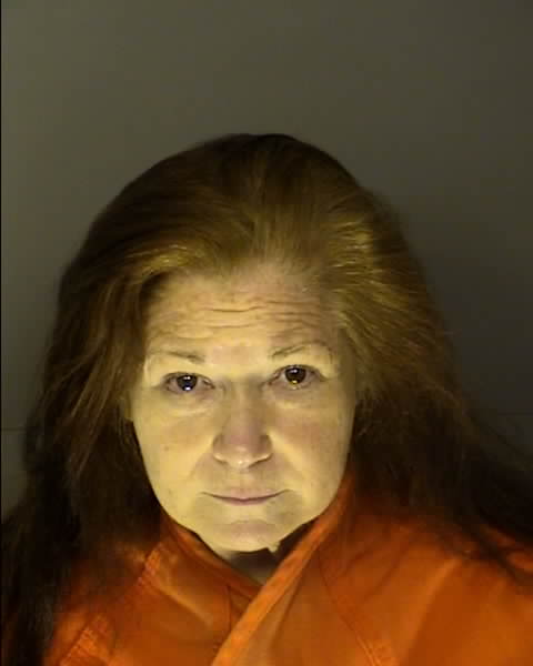 Booking photo of LISA ROBINSON BAUCOM