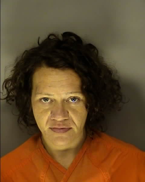 Booking photo of MISTY LYNN LOCKLEAR