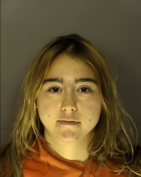 Booking photo of ANGELINA RIBAUDO DIFRANCESCO