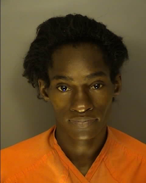 Booking photo of JANELLA ROSETTA JOHNSON