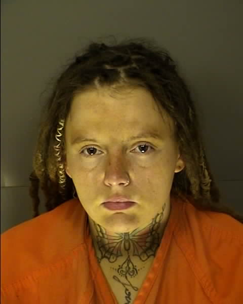 Booking photo of MEREDITH LOGAN HELQUIST