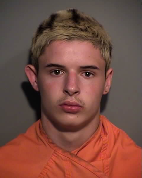 Booking photo of HENRY SCOTT HALSEY