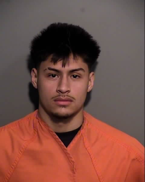 Booking photo of ALVARO JEOVANY ACOSTA LOVO