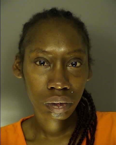 Booking photo of MAHOGONY CHARDONNAY BRITTON