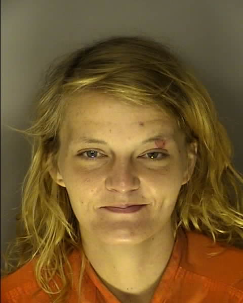 Booking photo of EMILY ROSE MCINTYRE