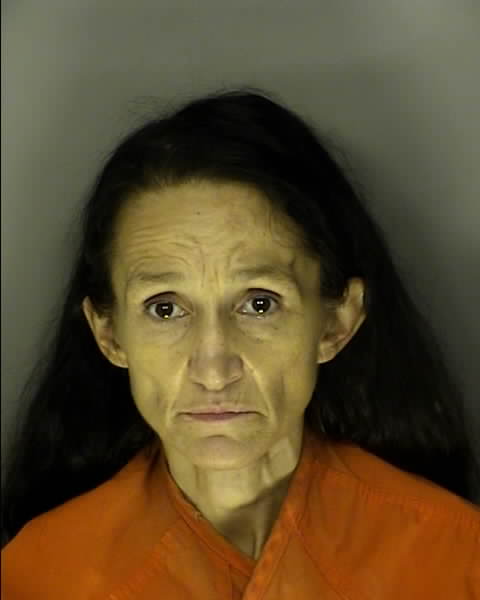 Booking photo of JAIME DIANE HARDIN