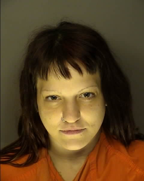 Booking photo of ALICIA SOBIESKI