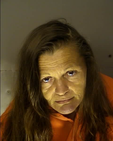 Booking photo of JULIE STEVENS BURNS