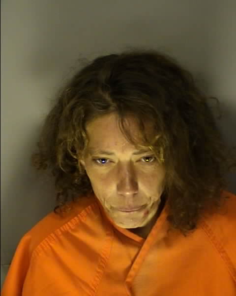 Booking photo of REBECCA GAIL CLARK