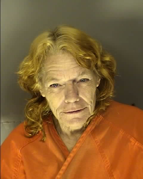 Booking photo of DAWN MARIE NELSON