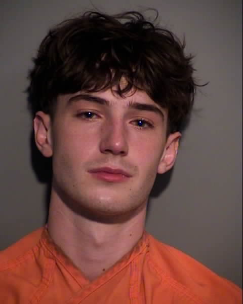 Booking photo of JAMIESON RAE LOMBARDO