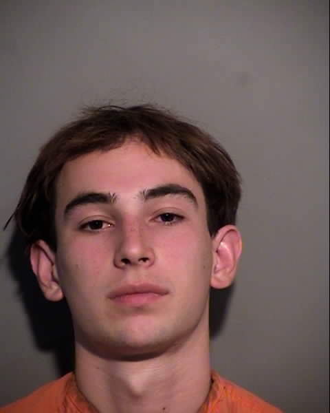 Booking photo of NICOLAS GIOVANNI BRICENO