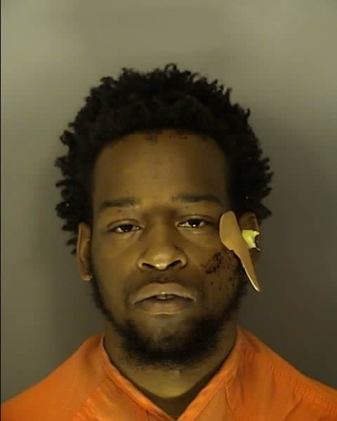 Booking photo of DARL KENDRICK JOHNSON